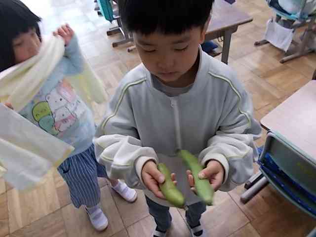 DSCN2474