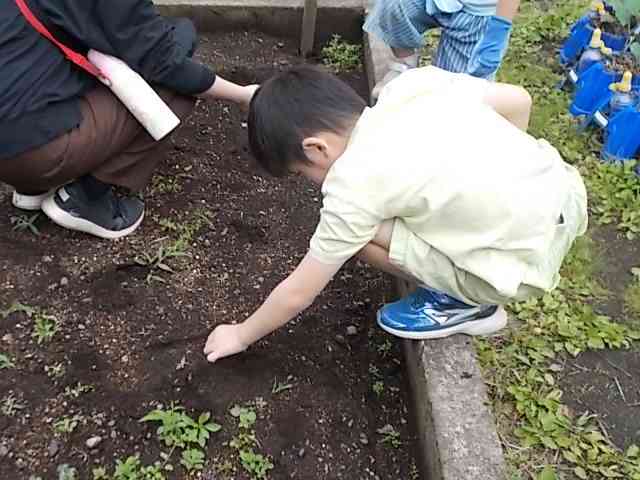 DSCN2526