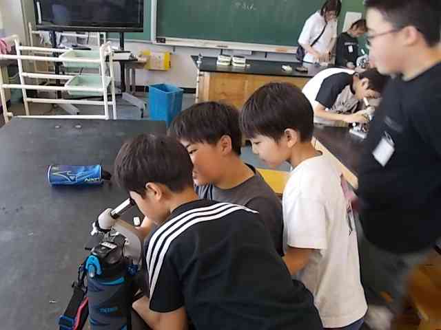 DSCN2581